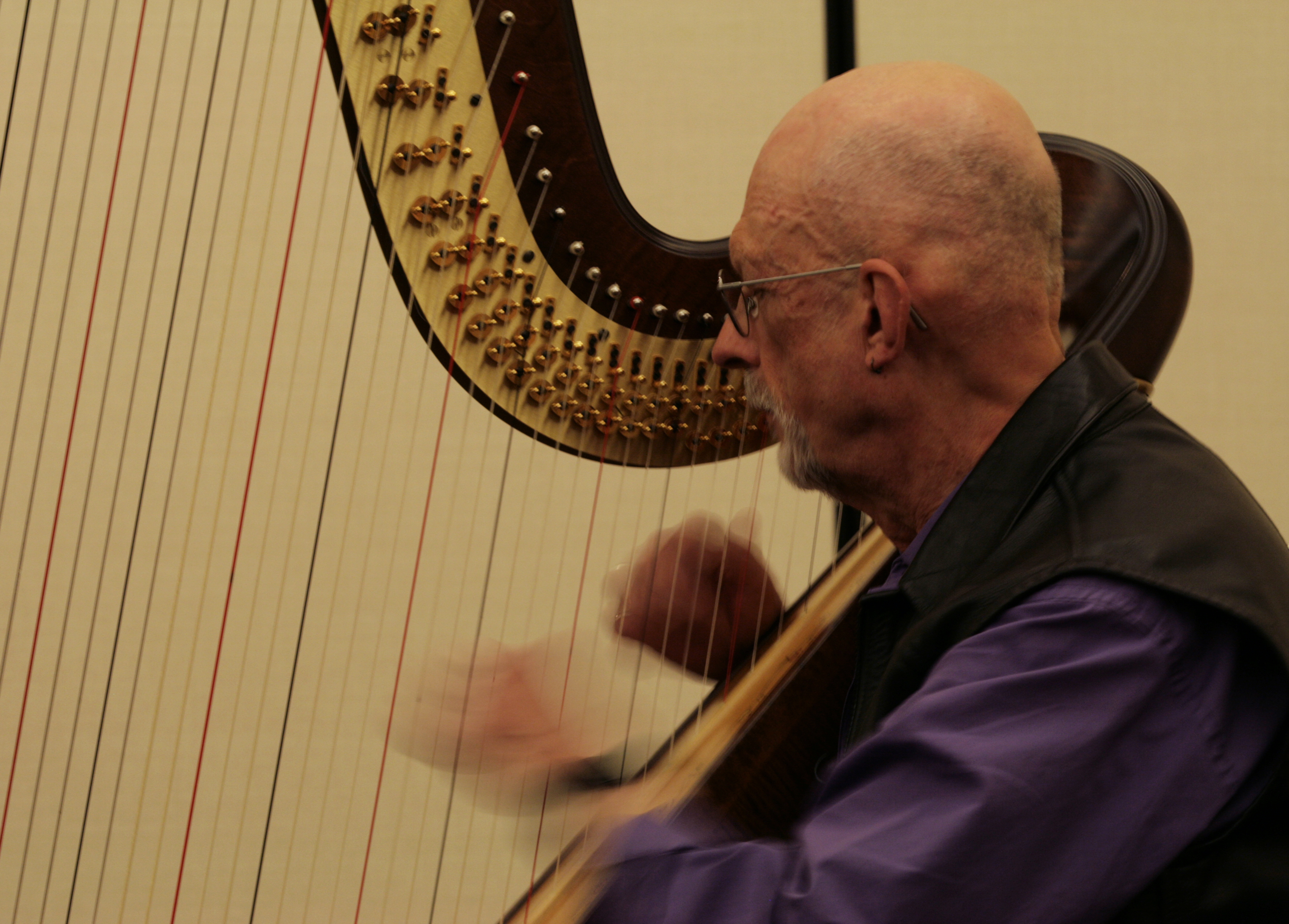 Jim Ward harp